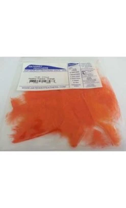 Bande Tracer 2" Flèche Gateway Feathers