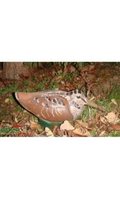 Cible 3D Becasse NATUR FOAM