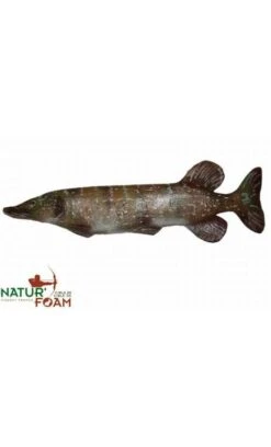 Cible 3D Brochet NATUR FOAM