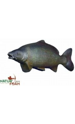 Cible 3D Carpe NATUR FOAM