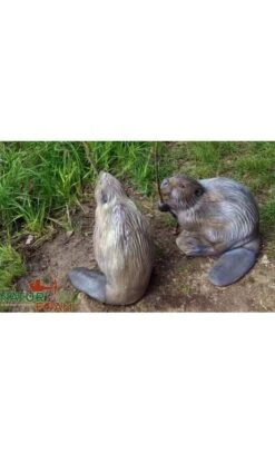 Cible 3D Castor NATUR FOAM