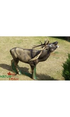 Cible 3D Cerf Au Brame NATUR FOAM