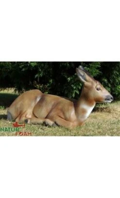 Cible 3D Chevrette Gitee NATUR FOAM