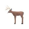 Cible 3D INTRUDER DEER Serie Backyard DELTA McKENZIE
