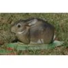 Cible 3D Lapin Gité NATUR FOAM