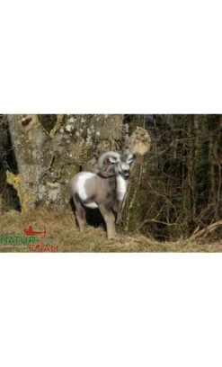 Cible 3d Mouflon Debout NATUR FOAM