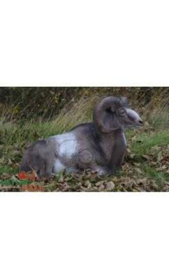 Cible 3D Mouflon Gite NATUR FOAM