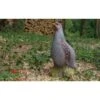 Cible 3D Perdrix Dressee NATUR FOAM