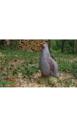 Cible 3D Perdrix Dressee NATUR FOAM