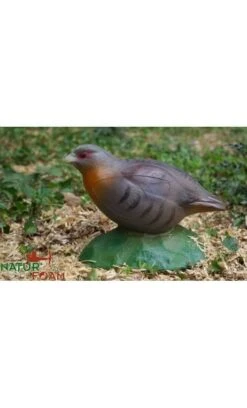 Cible 3d Perdrix NATUR FOAM