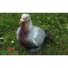 Cible 3D Pigeon NATUR FOAM