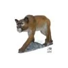 Cible 3D Puma - Lion De Montagne SRT TARGET