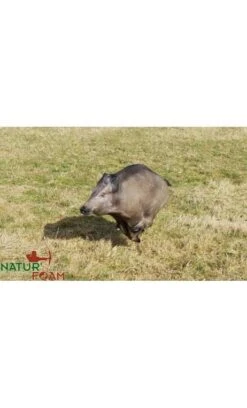 Cible 3D Sanglier à La Course NATUR FOAM