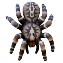 Cible 3D TARENTULE LEITOLD TARGET