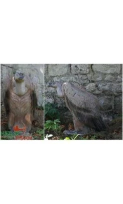 Cible 3D Vautour NATUR FOAM