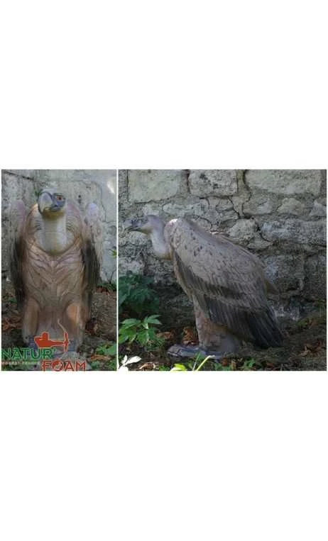 Cible 3D Vautour NATUR FOAM 1 Cible 3D Vautour NATUR FOAM