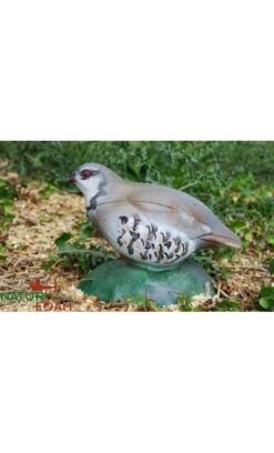 Cible Bartavelle 3D NATUR FOAM