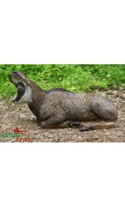 Cible Chamois Gite 3D NATUR FOAM