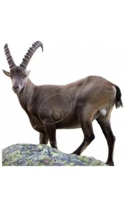 Cible Chèvre Des Montagnes 2D Archer Targets