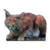 Cible De Lynx 2D Archer Targets