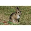 Cible Lapin Assis 3D NATUR FOAM