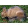Cible Lapin Broutant NATUR FOAM