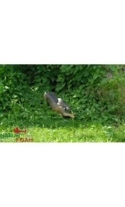 Cible Lievre à La Course 3D Natur Foam