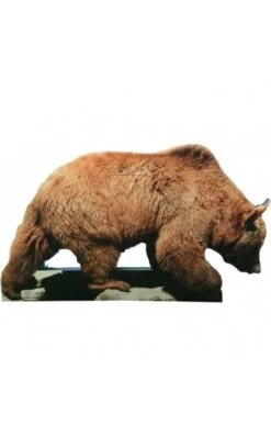 Cible Ours Brun 2D Archer Targets