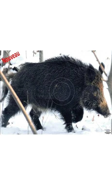 Cible Sanglier Sous La Neige LCC ARCHERY 1 Cible Sanglier Sous La Neige LCC ARCHERY