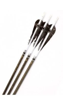 Flèche Carbone Traditionnelle Black Wood Win & Win Black