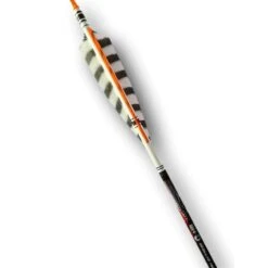 Flèches Carbone PARTIZAN EXTREME HB 5" HENRY BODNIK