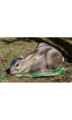 Le Lièvre Gité 3D NATUR FOAM