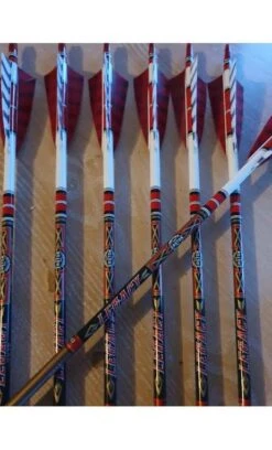 Lot De 12 Flèches LEGACY Custom EASTON ARCHERY