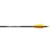 Tube Alu Gamegetter XX75 EASTON ARCHERY