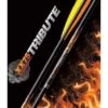 Tube Aluminium TRIBUTE XX75 EASTON ARCHERY