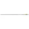 Tube Carbon One 600 EASTON ARCHERY