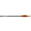 Tube Carbon PowerFlight EASTON ARCHERY